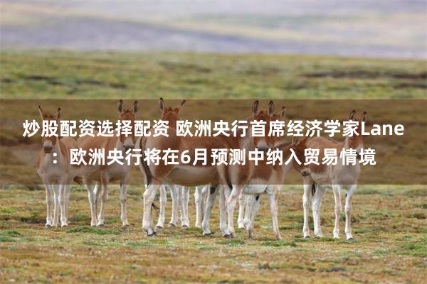 炒股配资选择配资 欧洲央行首席经济学家Lane：欧洲央行将在6月预测中纳入贸易情境