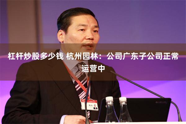 杠杆炒股多少钱 杭州园林：公司广东子公司正常运营中
