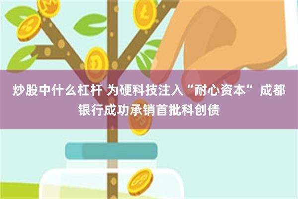 炒股中什么杠杆 为硬科技注入“耐心资本” 成都银行成功承销首批科创债