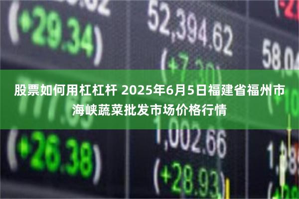 股票如何用杠杠杆 2025年6月5日福建省福州市海峡蔬菜批发市场价格行情