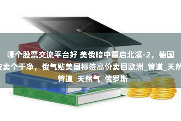哪个股票交流平台好 美俄暗中重启北溪-2，德国沦为棋子被卖个干净，俄气贴美国标签高价卖回欧洲_管道_天然气_俄罗斯