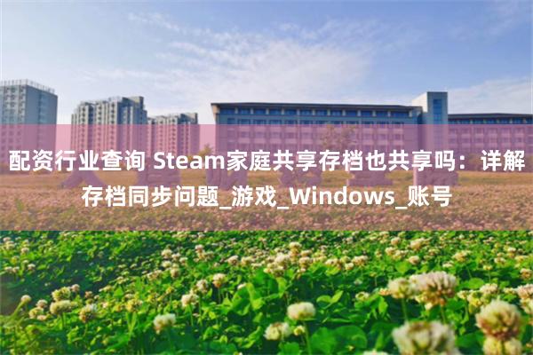 配资行业查询 Steam家庭共享存档也共享吗：详解存档同步问题_游戏_Windows_账号