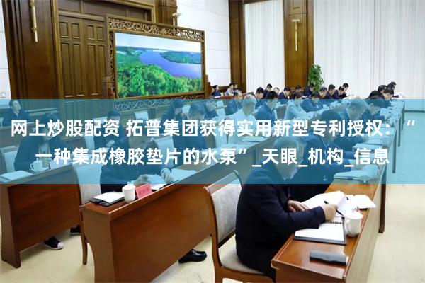 网上炒股配资 拓普集团获得实用新型专利授权：“一种集成橡胶垫片的水泵”_天眼_机构_信息