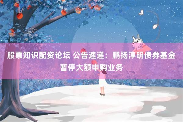 股票知识配资论坛 公告速递：鹏扬淳明债券基金暂停大额申购业务