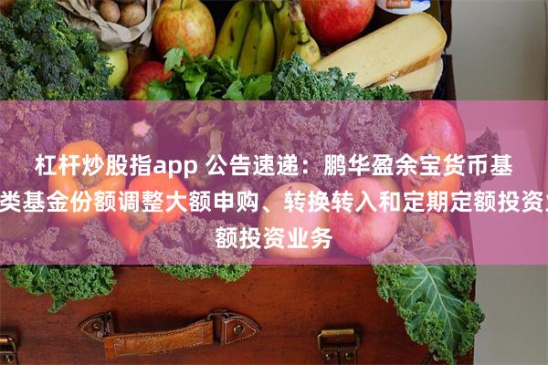 杠杆炒股指app 公告速递：鹏华盈余宝货币基金A类基金份额调整大额申购、转换转入和定期定额投资业务