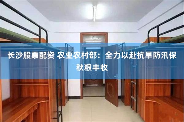 长沙股票配资 农业农村部：全力以赴抗旱防汛保秋粮丰收