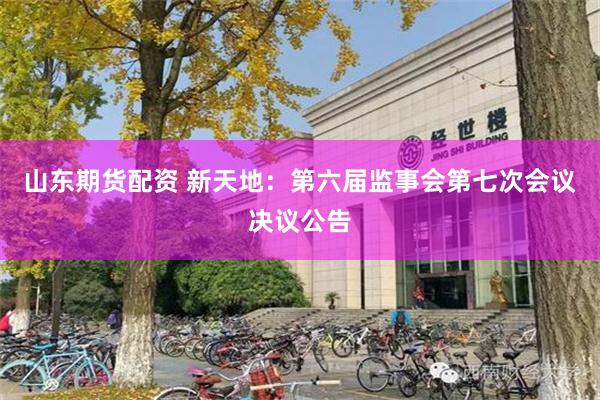 山东期货配资 新天地：第六届监事会第七次会议决议公告