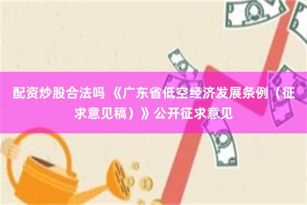配资炒股合法吗 《广东省低空经济发展条例(征求意见稿)》公开征求意见