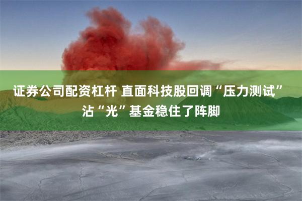 证券公司配资杠杆 直面科技股回调“压力测试” 沾“光”基金稳住了阵脚