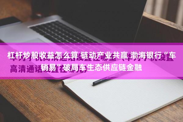 杠杆炒股收益怎么算 链动产业共赢 渤海银行“车销易”破局车生态供应链金融