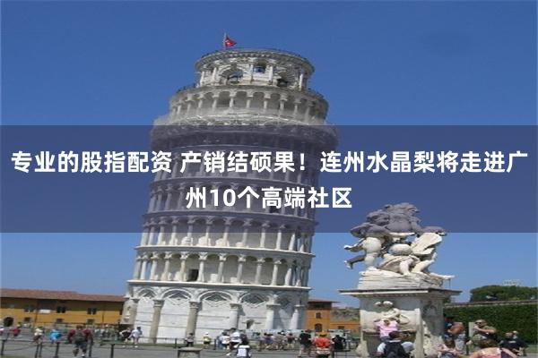 专业的股指配资 产销结硕果！连州水晶梨将走进广州10个高端社区