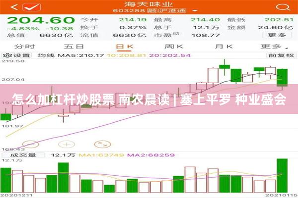 怎么加杠杆炒股票 南农晨读 | 塞上平罗 种业盛会
