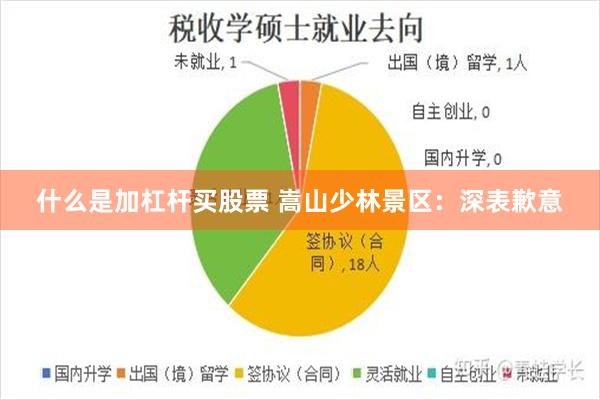 什么是加杠杆买股票 嵩山少林景区：深表歉意