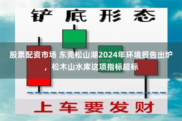 股票配资市场 东莞松山湖2024年环境报告出炉，松木山水库这项指标超标