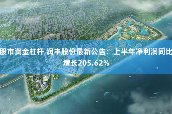 股市资金杠杆 润丰股份最新公告：上半年净利润同比增长205.62%