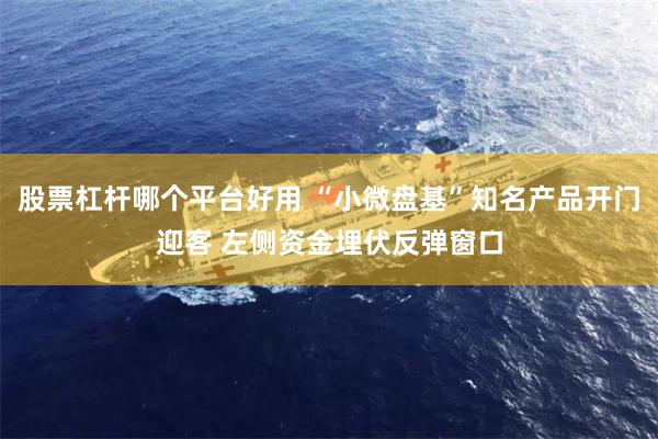 股票杠杆哪个平台好用 “小微盘基”知名产品开门迎客 左侧资金埋伏反弹窗口