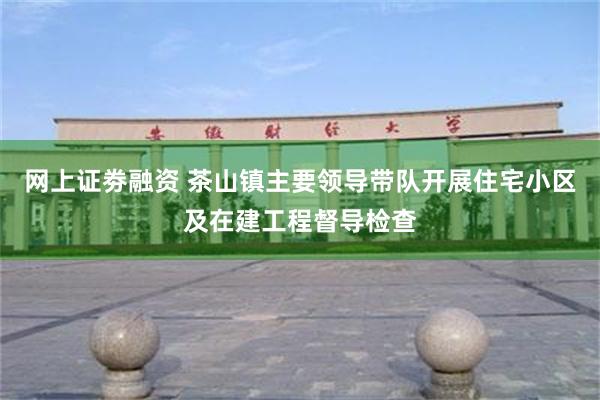 网上证劵融资 茶山镇主要领导带队开展住宅小区及在建工程督导检查