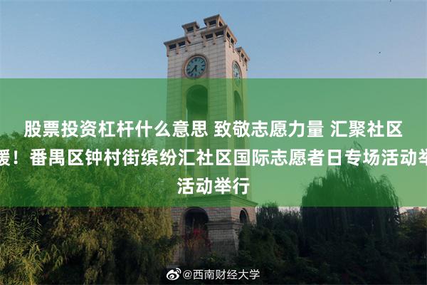 股票投资杠杆什么意思 致敬志愿力量 汇聚社区温暖！番禺区钟村街缤纷汇社区国际志愿者日专场活动举行