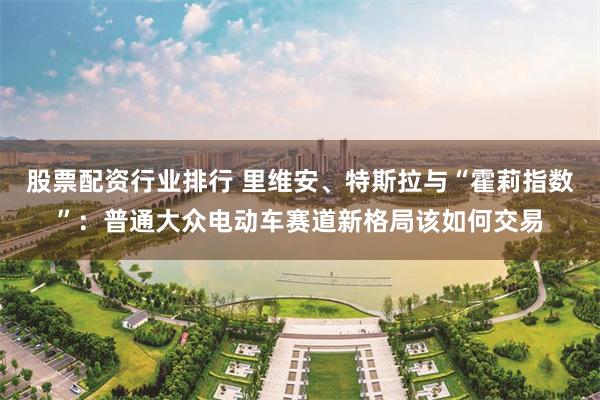 股票配资行业排行 里维安、特斯拉与“霍莉指数”：普通大众电动车赛道新格局该如何交易