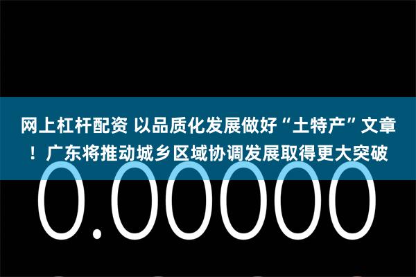 网上杠杆配资 以品质化发展做好“土特产”文章！广东将推动城乡区域协调发展取得更大突破