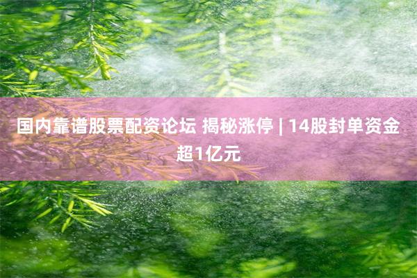 国内靠谱股票配资论坛 揭秘涨停 | 14股封单资金超1亿元