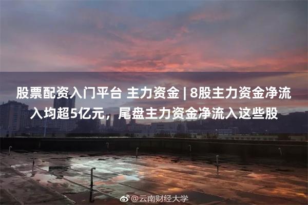 股票配资入门平台 主力资金 | 8股主力资金净流入均超5亿元，尾盘主力资金净流入这些股