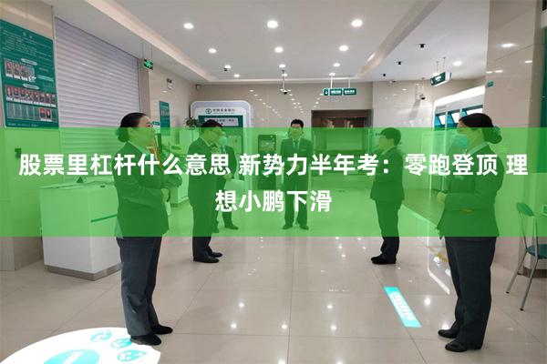 股票里杠杆什么意思 新势力半年考:零跑登顶 理想小鹏下滑