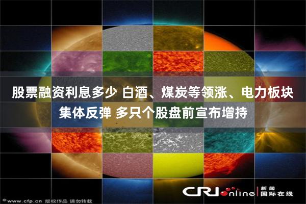 股票融资利息多少 白酒、煤炭等领涨、电力板块集体反弹 多只个股盘前宣布增持