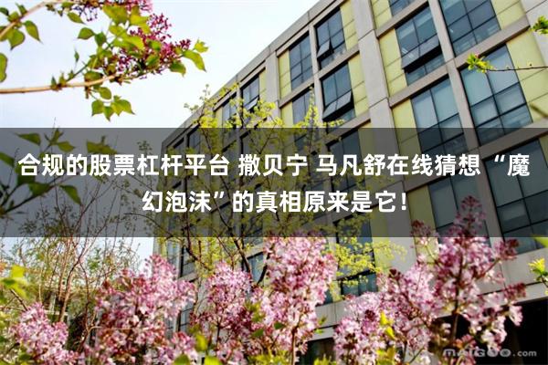 合规的股票杠杆平台 撒贝宁 马凡舒在线猜想 “魔幻泡沫”的真相原来是它！