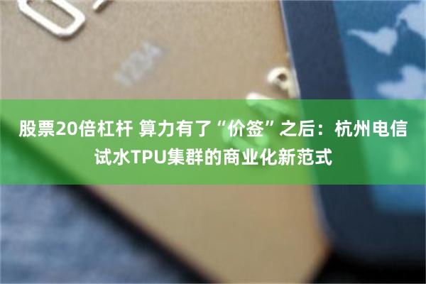 股票20倍杠杆 算力有了“价签”之后：杭州电信试水TPU集群的商业化新范式