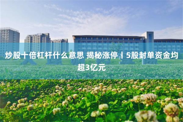 炒股十倍杠杆什么意思 揭秘涨停丨5股封单资金均超3亿元