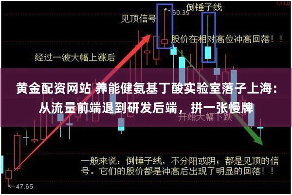 黄金配资网站 养能健氨基丁酸实验室落子上海：从流量前端退到研发后端，拼一张慢牌