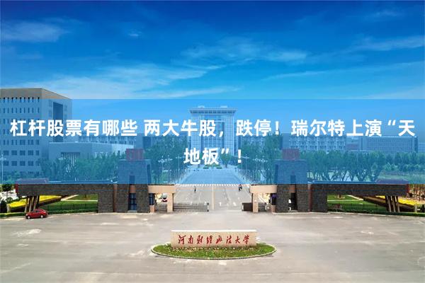 杠杆股票有哪些 两大牛股,跌停!瑞尔特上演“天地板”!