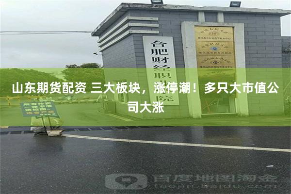 山东期货配资 三大板块，涨停潮！多只大市值公司大涨