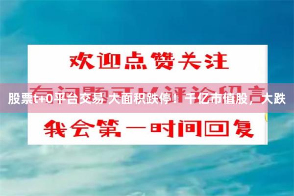 股票t+0平台交易 大面积跌停！千亿市值股，大跌