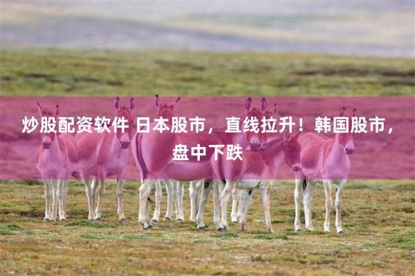 炒股配资软件 日本股市，直线拉升！韩国股市，盘中下跌