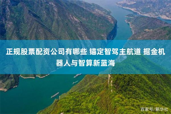 正规股票配资公司有哪些 锚定智驾主航道 掘金机器人与智算新蓝海