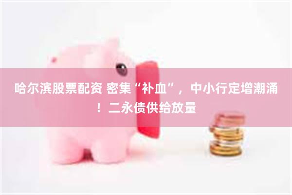 哈尔滨股票配资 密集“补血”，中小行定增潮涌！二永债供给放量
