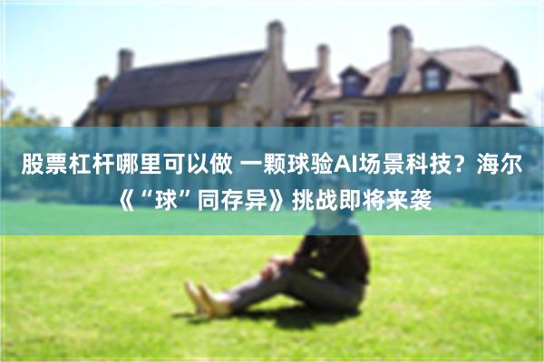 股票杠杆哪里可以做 一颗球验AI场景科技？海尔《“球”同存异》挑战即将来袭