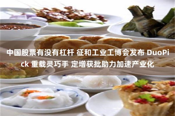 中国股票有没有杠杆 征和工业工博会发布 DuoPick 重载灵巧手 定增获批助力加速产业化