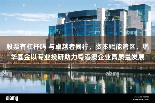 股票有杠杆吗 与卓越者同行，资本赋能湾区，鹏华基金以专业投研助力粤港澳企业高质量发展