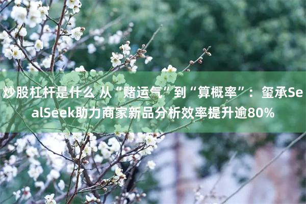 炒股杠杆是什么 从“赌运气”到“算概率”：玺承SealSeek助力商家新品分析效率提升逾80%