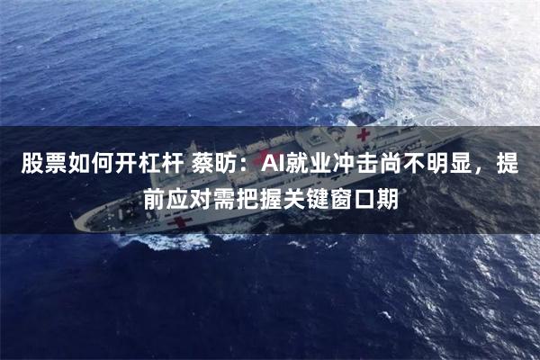 股票如何开杠杆 蔡昉：AI就业冲击尚不明显，提前应对需把握关键窗口期