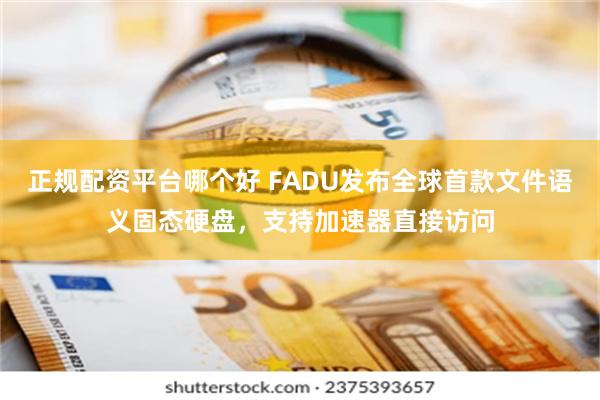 正规配资平台哪个好 FADU发布全球首款文件语义固态硬盘，支持加速器直接访问